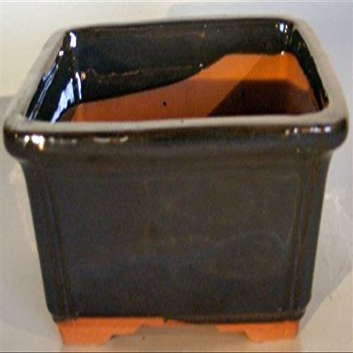 Bonsai Boy Blue Ceramic Bonsai Pot - Rectangle 8 5 x 6 625 x 3 5 OD