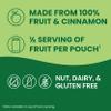GoGo squeeZ Applesauce and Fruit Puree, Apple Cinnamon, 3.2 oz (Pack of 48), Unsweetened Fruit Snacks for Kids, Gluten Free, Nut Free and Dairy Free, BPA Free Pouches (Packaging May Vary) view 4