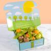 A Gift Inside Golden State Signature Fruit Gift Collection view 3