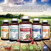 Megazyme Forte 200 Tablets - Natural Plant Proteolytic Enzymes Nattozimes Serrazimes Supports Digestive System Immune Health view 4