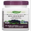 Nature's Way Bilberry Standardized Extract Veg Capsules 90 ea (Pack of 2) view 1