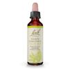 Bach Original Flower Remedies, White Chestnut - Calm The Mind - Natural Homeopathic Flower Essence for Emotional Balance - Vegan, Gluten Free, Sugar Free - 20mL Dropper view 1