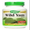 Natures Way Wild Yam view 1