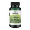 Swanson Full Spectrum Gymnema Sylvestre Leaf - Traditional Ayurvedic Herb - (100 Capsules) view 1