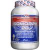 APS Nutrition Isomorph Protein Powder Supplement | Whey Protein Isolate | Ultra- Filtered | 28g Protein | Vanilla Ice Cream, 2 Pound (Pack of 1) view 1