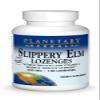Planetary Herbals Slippery Elm Lozenges, 100 Count view 1