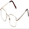 Calabria R753 Designer Rectangular Metal Eyewear Frame  Gold, Unisex Classic Style view 2