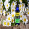 Dr. Rydland's Pleasant Tasting Liquid Herbal Formulas (Stomach & Colic, 2oz) view 4