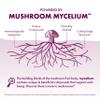 Host Defense Turkey Tail Capsules - Digestive Health & Immune Response Support Supplement - Mushroom Supplement for Gastrointestinal & Gut Microbiome Support - 60 Capsules view 3