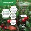 Botanic Choice Ultra Kidney Complex - Optimal Kidney Support with Milk Thistle, Green Tea & More- 60 Capsules view 3