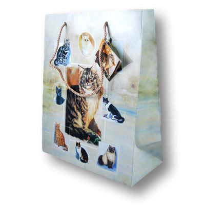 Assorted Cats Gift Bag - Large