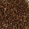 Harmony House Foods TRUE Dehydrated Pinto Beans - Easy Cook (16 oz, Quart Size Jar) view 2