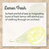 EcoMe Dish Soap Liquid, Lemon Fresh, 16 Fl Oz (Pack of 6) view 4