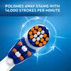 Oral-B CrossAction Power Dual Clean Replacement Medium Bristle Heads, 2-Count (Pack of 3) view 3