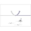 (Sasagawa) Taka-jirushi Noshi Paper, 2-276, Kyo, Silver Len, A4 Size, 100 Sheets view 1