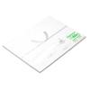 (Sasagawa) Taka-jirushi Noshi Paper, 2-276, Kyo, Silver Len, A4 Size, 100 Sheets view 2