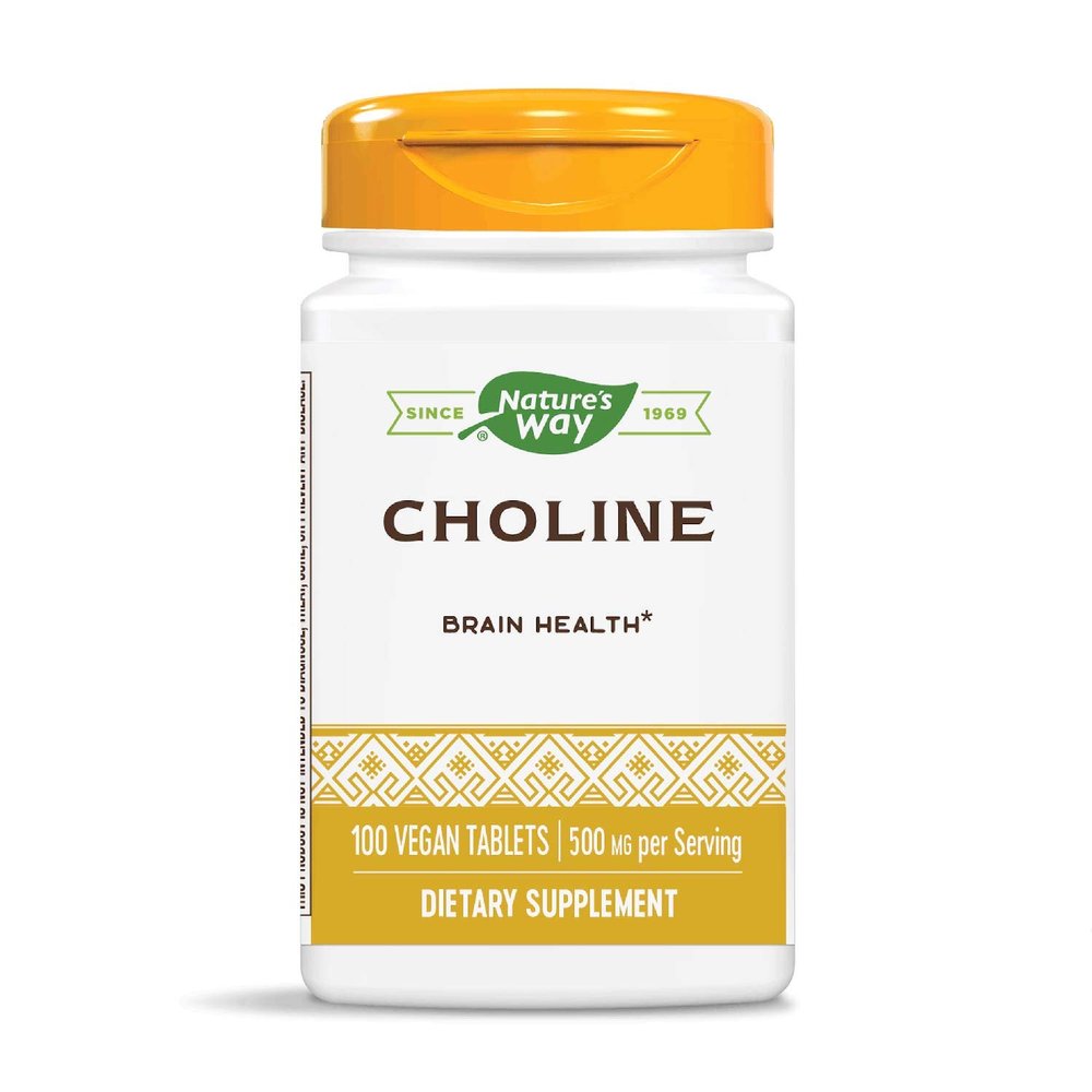 Nature's Way Choline, 500 mg per serving, 100 Tablets (Pack of 2)