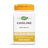 Nature's Way Choline, 500 mg per serving, 100 Tablets (Pack of 2) view 1