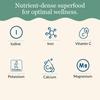 Maine Coast Sea Vegetables Organic Dulse Flakes | Seaweed Snacks | Rich in Iodine, Protein & Minerals | Harvested from North Atlantic | Great for Salads, Soup & Smoothies | 4 oz (Pack of 1) view 4