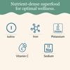Maine Coast Sea Vegetables Organic Dulse Granules Shaker | Seaweed Seasoning | Rich in Iodine & Protein | Harvested from North Atlantic | Great for Salads, Soup & Smoothies | 1.5 oz (Pack of 3) view 4