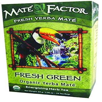 Mate Factor Original Fresh Green 24 ct