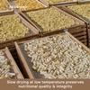 SEGGIANO Organic Toscani Pasta, 13 OZ view 3