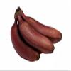 Red Banana - Exotic Sweetness & Creamy Texture - Avg 20 Lb Case for Chefs and Culinary Arts view 1