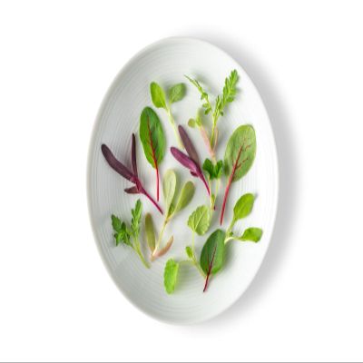 Fresh Origins Micro Greens - Citrus Mix - 4 x 4 oz | Gourmet Citrus-Flavored Herbs for Chefs