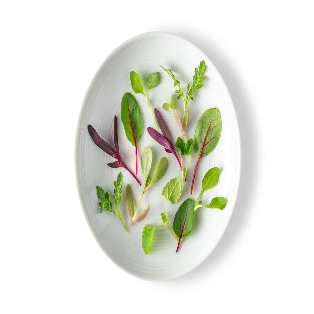 Fresh Origins Micro Greens - Citrus Mix - 4 x 4 oz | Gourmet Citrus-Flavored Herbs for Chefs