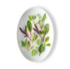 Fresh Origins Micro Greens - Citrus Mix - 4 x 4 oz | Gourmet Citrus-Flavored Herbs for Chefs view 1