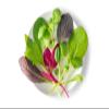 Fresh Origins Petite Greens - Asian Mix - Gourmet Blend of Asian Herbs and Greens - 4 x 4 oz view 1