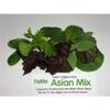 Fresh Origins Petite Greens - Asian Mix - Gourmet Blend of Asian Herbs and Greens - 4 x 4 oz view 2