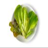 Minicrown Lettuce Mix - 4 Count of 3 oz Each, 12 oz Total, Gourmet Blend of Lollo Rosa, Tom Thumb, Freckles, Spreckles, and Radicchio view 1