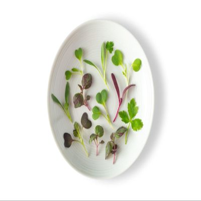 Fresh Origins Micro Greens Asian Mix - Gourmet Blend of Mitsuba, Mizuna, Pak Choy, Ao Shiso, Aka Shiso, Shungiku & Tatsoi - 4 Packs of 4 oz Each - Fresh, Vibrant, and Versatile for Gourmet Dishes