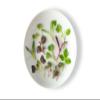 Fresh Origins Micro Greens Asian Mix - Gourmet Blend of Mitsuba, Mizuna, Pak Choy, Ao Shiso, Aka Shiso, Shungiku & Tatsoi - 4 Packs of 4 oz Each - Fresh, Vibrant, and Versatile for Gourmet Dishes view 1