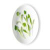 Fresh Origins Micro Greens - Intense Cilantro Flavor - 4 x 4 oz - Bulk Cilantro Herb for Chefs and Culinary Lovers view 1