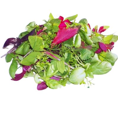 Fresh Origins Petite Greens Season's Mix - Gourmet Blend of Fresh Herbs and Greens - 4 x 4 oz
