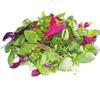 Fresh Origins Petite Greens Season's Mix - Gourmet Blend of Fresh Herbs and Greens - 4 x 4 oz view 1