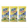 Boy Bawang Cornick Garlic 3.54oz (100g), 3 Pack view 1