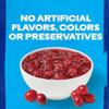 Ocean Spray Gluten Free Whole Berry Cranberry Sauce, 14 Ounce Cans (Pack of 24) view 4