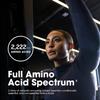 Optimum Nutrition Superior Amino 2222 Tablets, Complete Essential Amino Acids, EAAs, 320 Count view 4