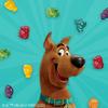 Betty Crocker Scooby Doo Fruit Snacks, 0.9 Oz, 96 Count view 2