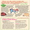 Original WhistleStop Cafe Recipes | Batter Mix for Chicken, Baked or Fried | 9-oz | Case of 6 view 4