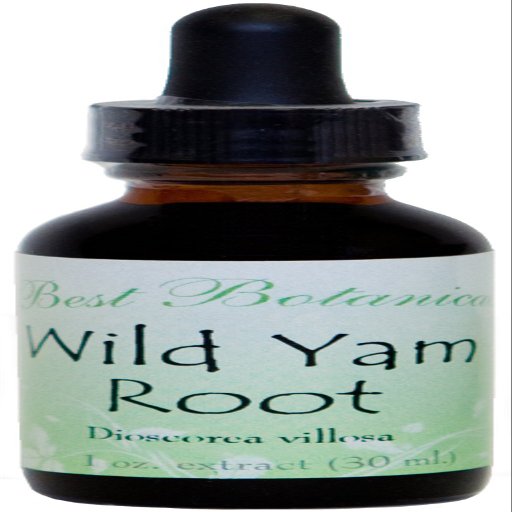 Best Botanicals Wild Yam Root Extract 1 oz.