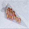 Clear Plastic Cone Favor Boxes Wedding Party Gift 50pcs 1-1/2 x 1-1/2 x 6" view 1