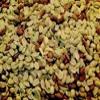 Alpine Ingredients RAW Peanut Shelled Peanuts 50 Lb view 1