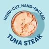 Wild Planet Albacore Wild Tuna, Sea Salt, Canned Tuna, Sustainably Wild-Caught, Pole & Line, Non-GMO, Kosher, 5 Ounce, Pack of 12 view 4