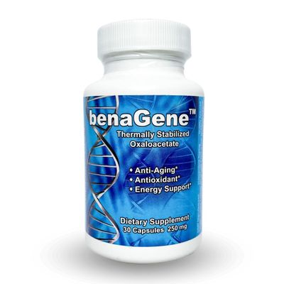 Benagene Oxaloacetate Supplement - Supports Cellular Energy - Thermally Stabilized with Vitamin C - Non-GMO & Vegan - 30 Servings, Once Daily