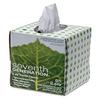 100% Recycled Facial Tissue, 2-Ply, White, 85 Sheets/Box, 36 Boxes/Carton view 1