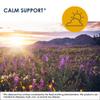 Metabolic Maintenance MetaCalm - GABA L-Theanine Supplement for Calm, Sleep, and Stress Support, Vitamin B6, Active Folate, Magnesium & 5-HTP Complex for Adults, Men and Women - 90 Capsules view 4